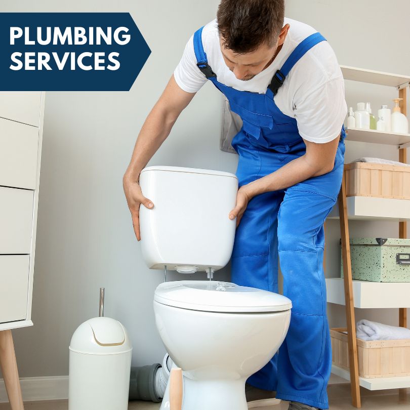 Plumbing Company in Greig, NY